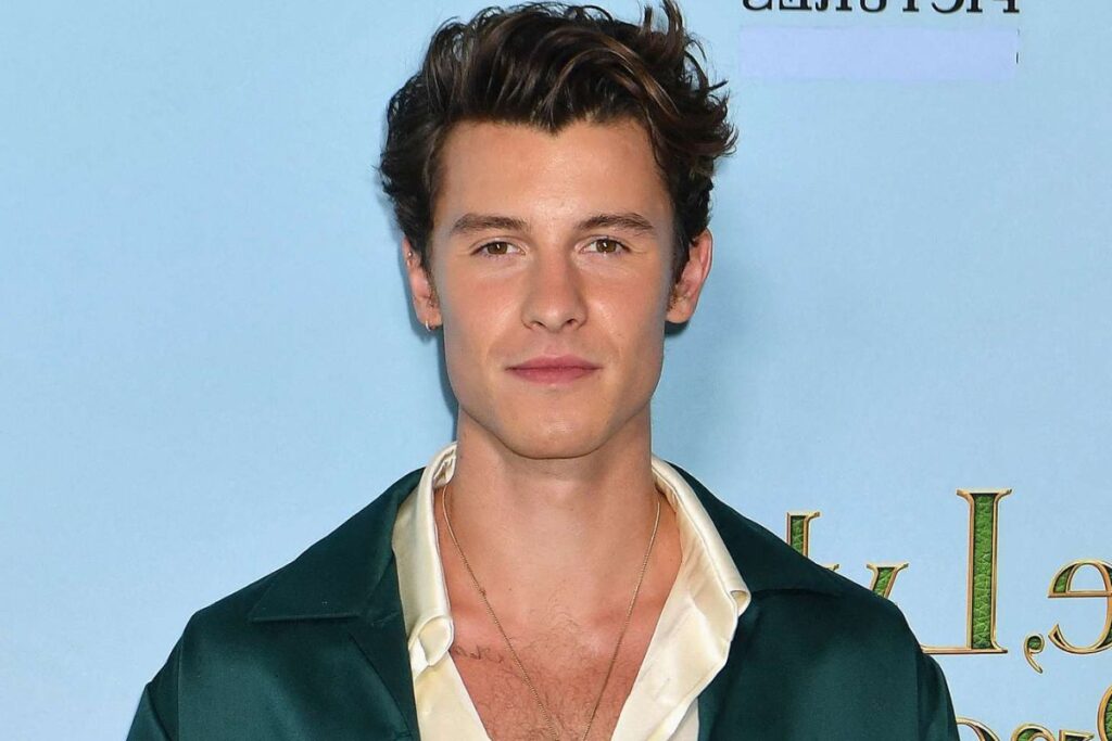 Shawn Mendes está otra vez enamorado y encuentra el amor en esta persona