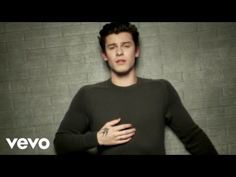 Shawn Mendes - In My Blood