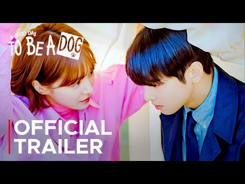 A Good Day To Be A Dog Official Trailer | Cha Eun Woo | Park Gyu Young {ENG SUB}