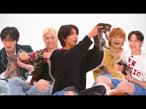 Stray Kids: The Kitten Interview