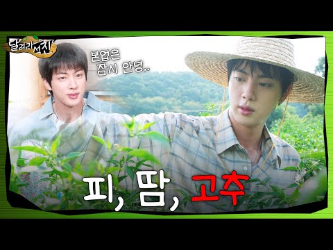 [달려라 석진] EP.9 | 피, 땀, 고추