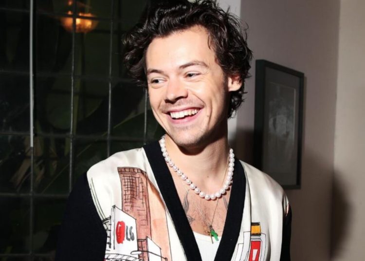 Harry Styles Reveals He Got Naked For Sex Scenes In My Policeman