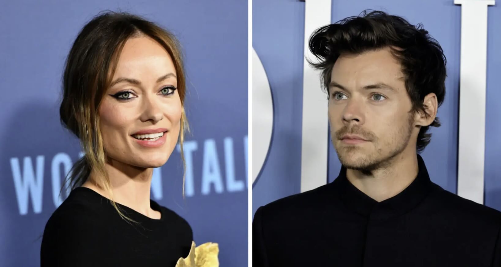 Why Harry Styles and Olivia Wilde Broke Up
