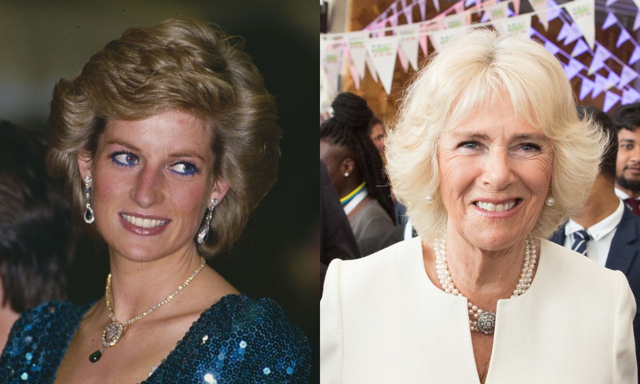 Shocking conversation Lady Di had with Camilla Parker before her death ...