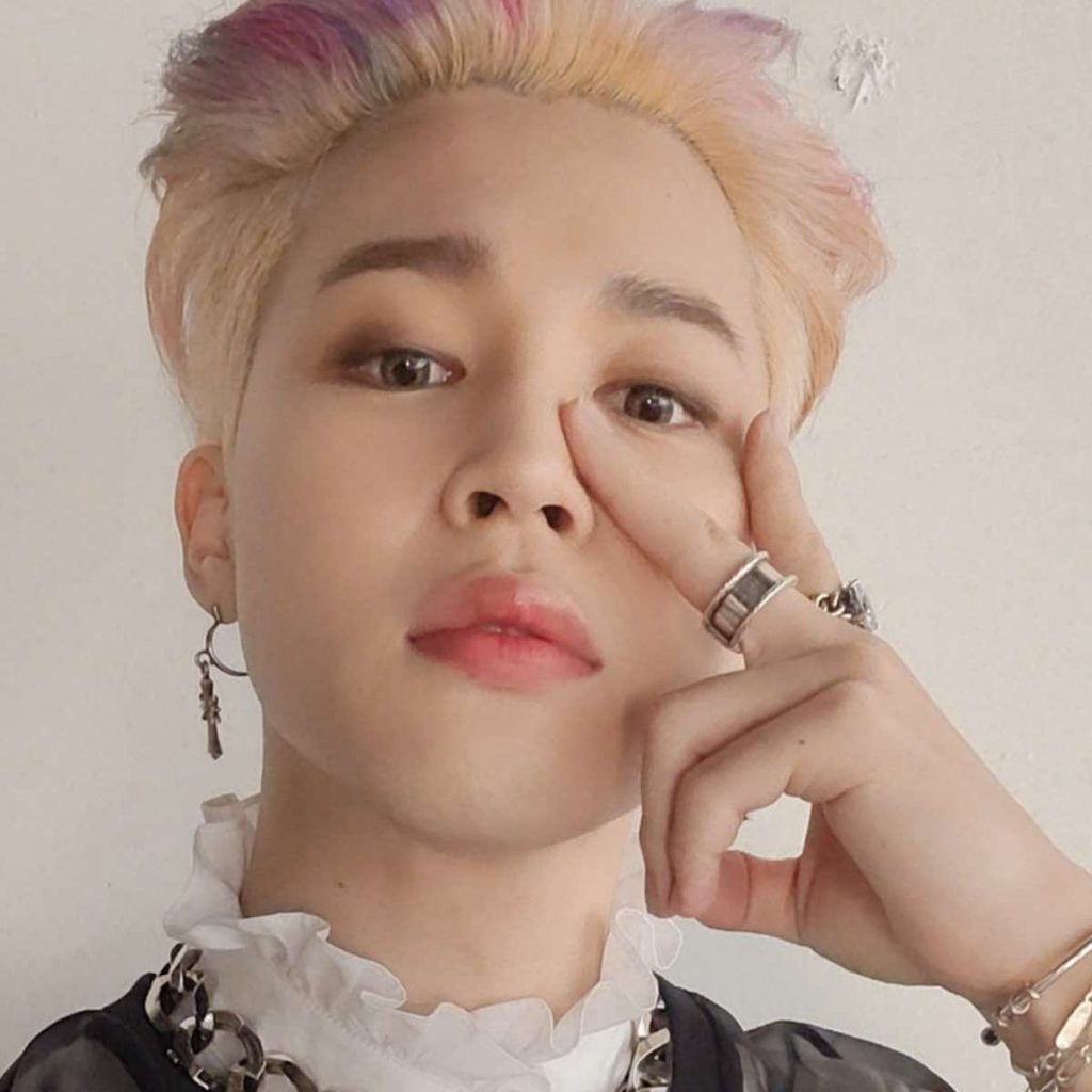 BTS Jimin could go into modeling, armys are thrilled