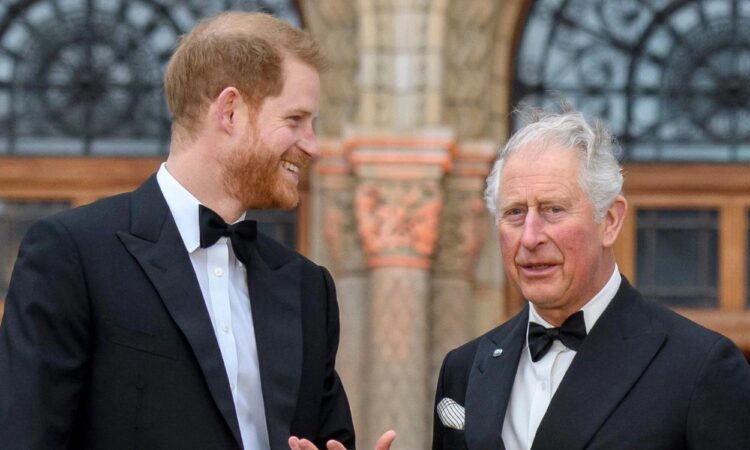 Prince Harry mocked for being naive in believing that King Charles will ...