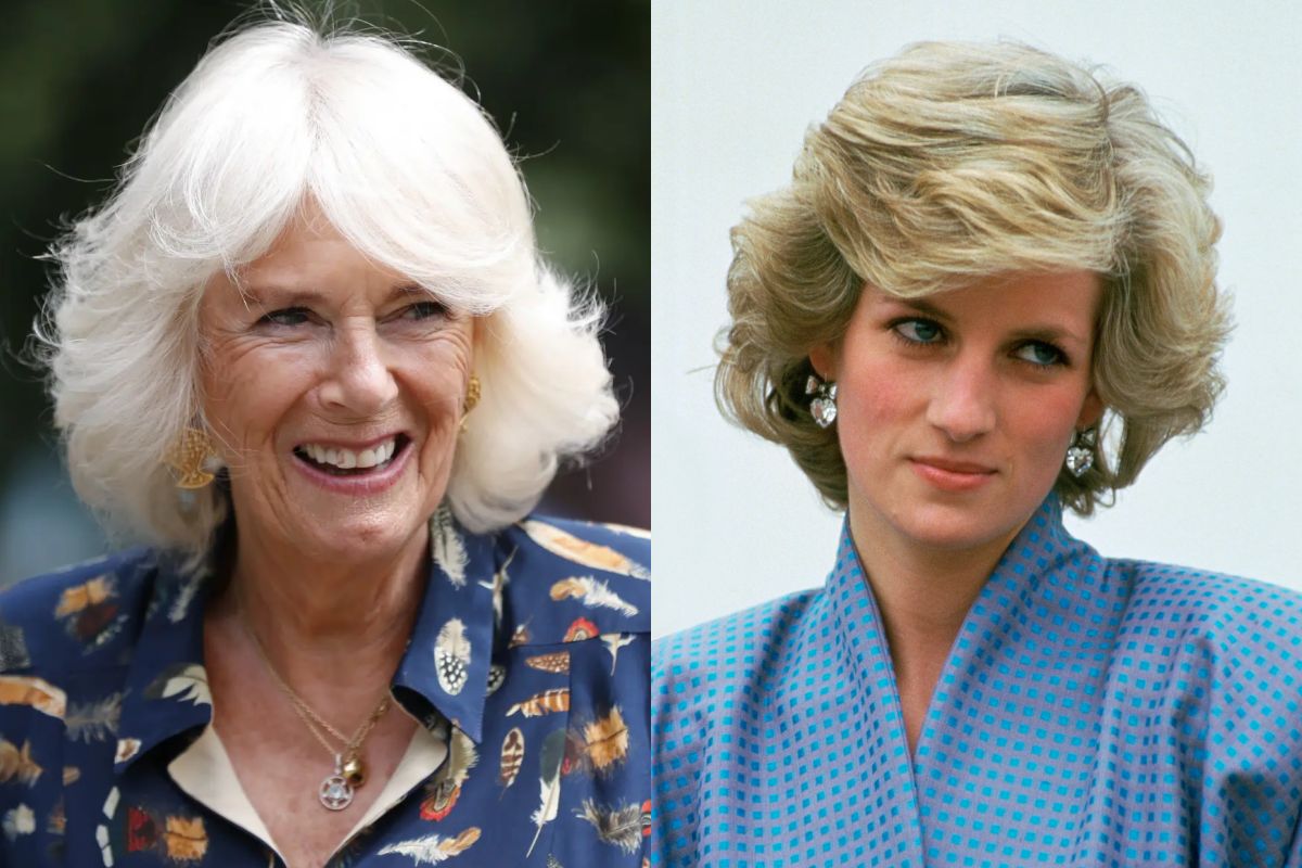 This is how Camilla Parker's dark plan to get to the throne of the ...