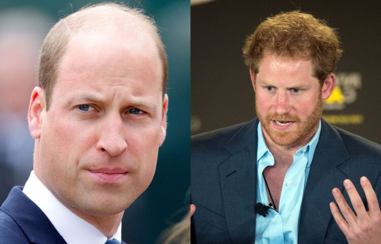 Prince William exploded and hit Prince Harry; left him with bruises and ...