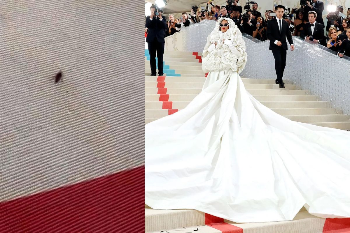 The cockroach that became the main act at the Met Gala 2023