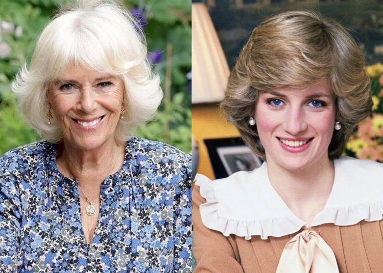 Queen Camilla Parker accused of copying Princess Diana 25 years after ...