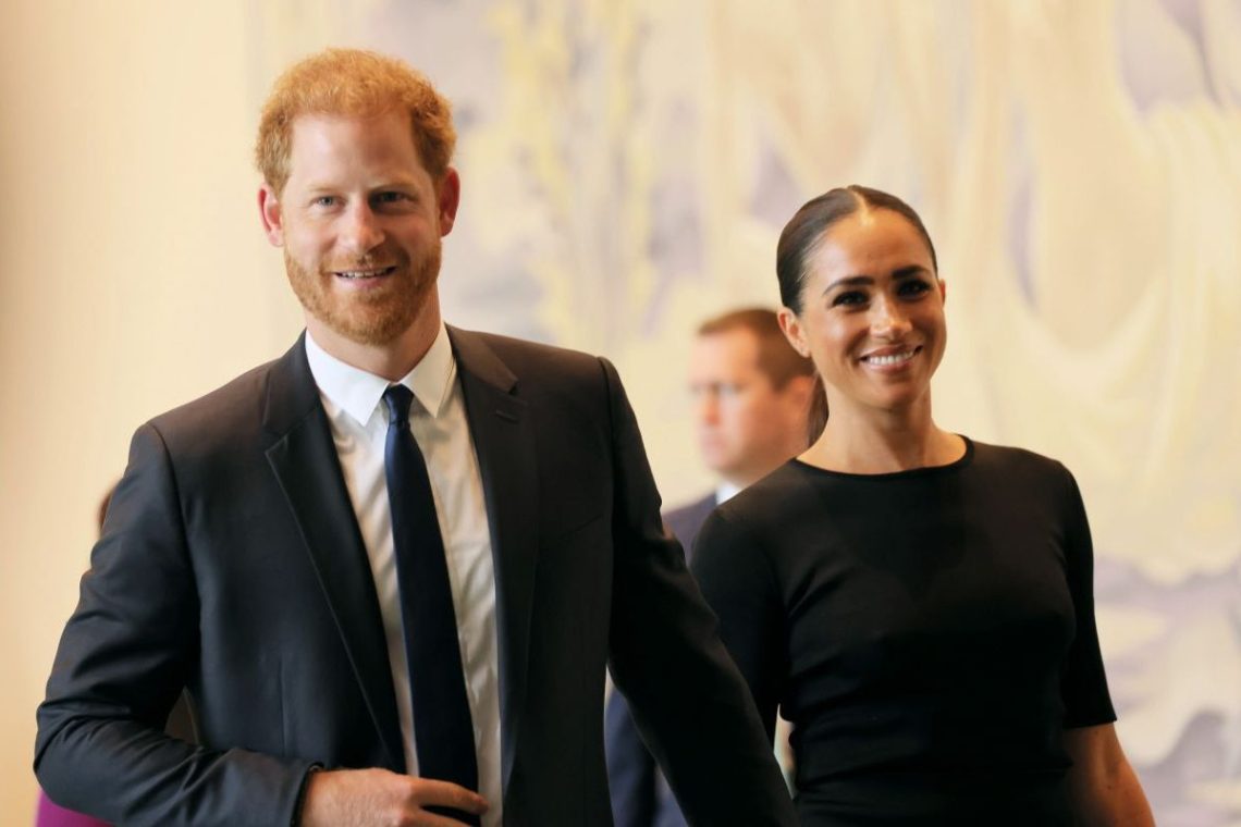 Prince Harry And Meghan Markle Put On A Professional Facade To Hide Their Marital Crisis Author 