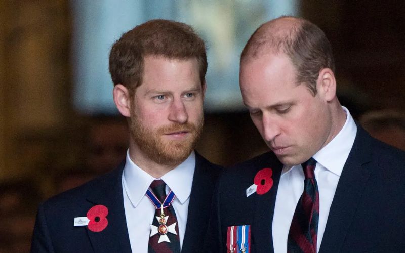 Prince Harry replaced Prince William with a new 'better older brother'