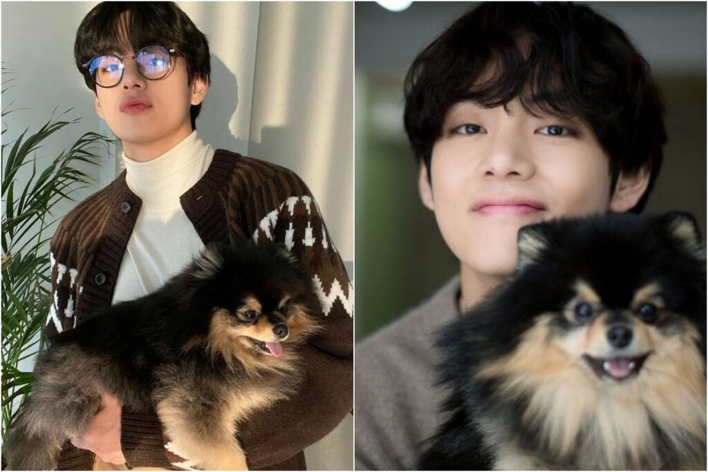 V Of BTS Gets An Impressive Record With His Own Pet! Find Out The ...