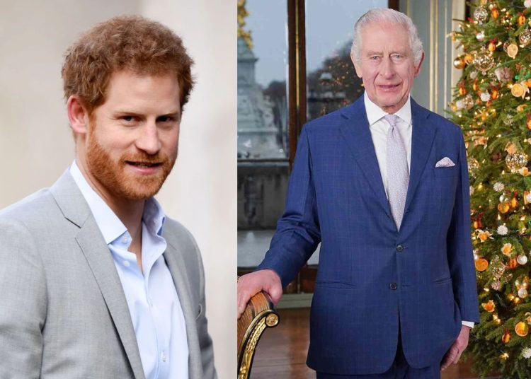 King Charles III Completely Ignores Prince Harry In 2023 Christmas Speech