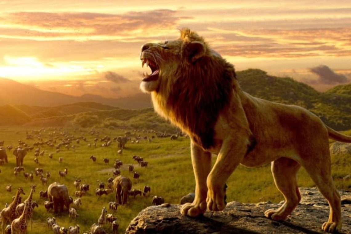 Mufasa, The Lion King Prequel Information Revealed