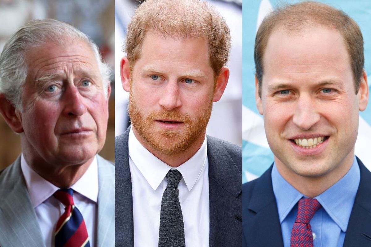 Prince Harry cannot succeed King Charles III or Prince William in case of their inability