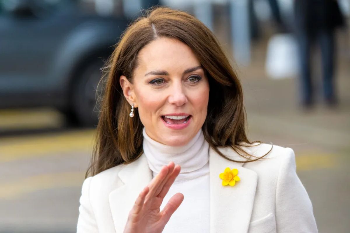 Kate Middleton's new portrait received a strong negative reaction 'It's an insult'