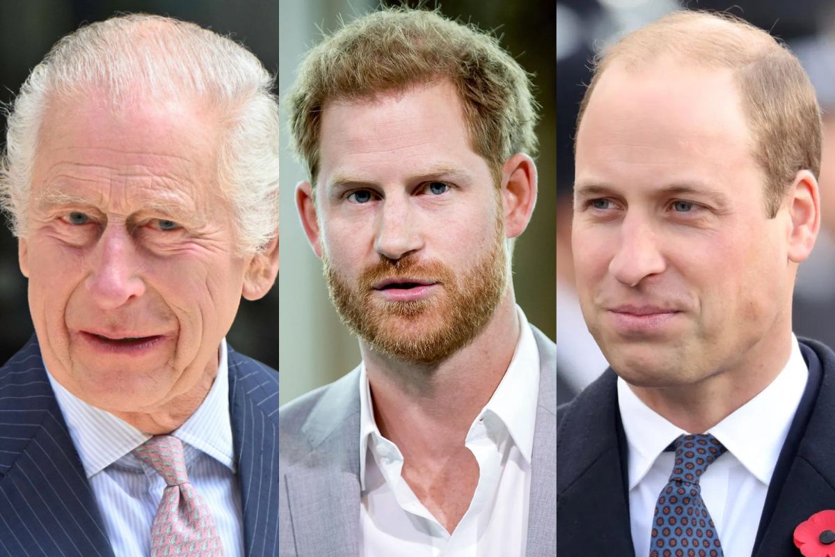 Prince Harry allegedly asked for a secret meeting with King Charles III and Prince William