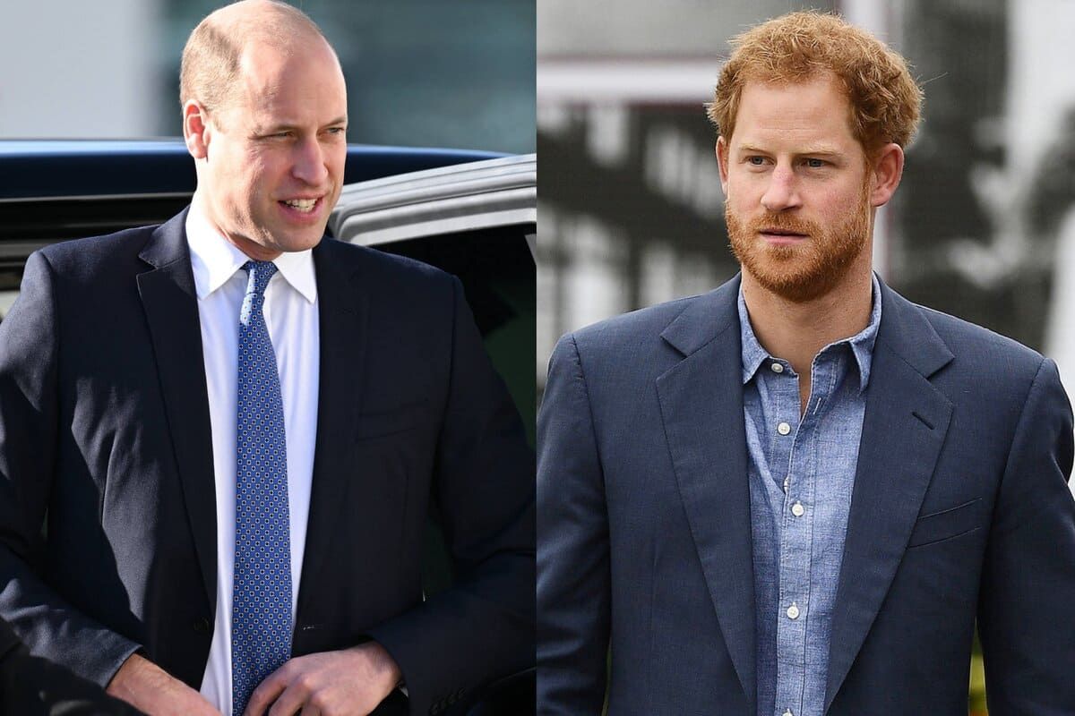 Prince William would be envious of Prince Harry's freedom, says a royal expert