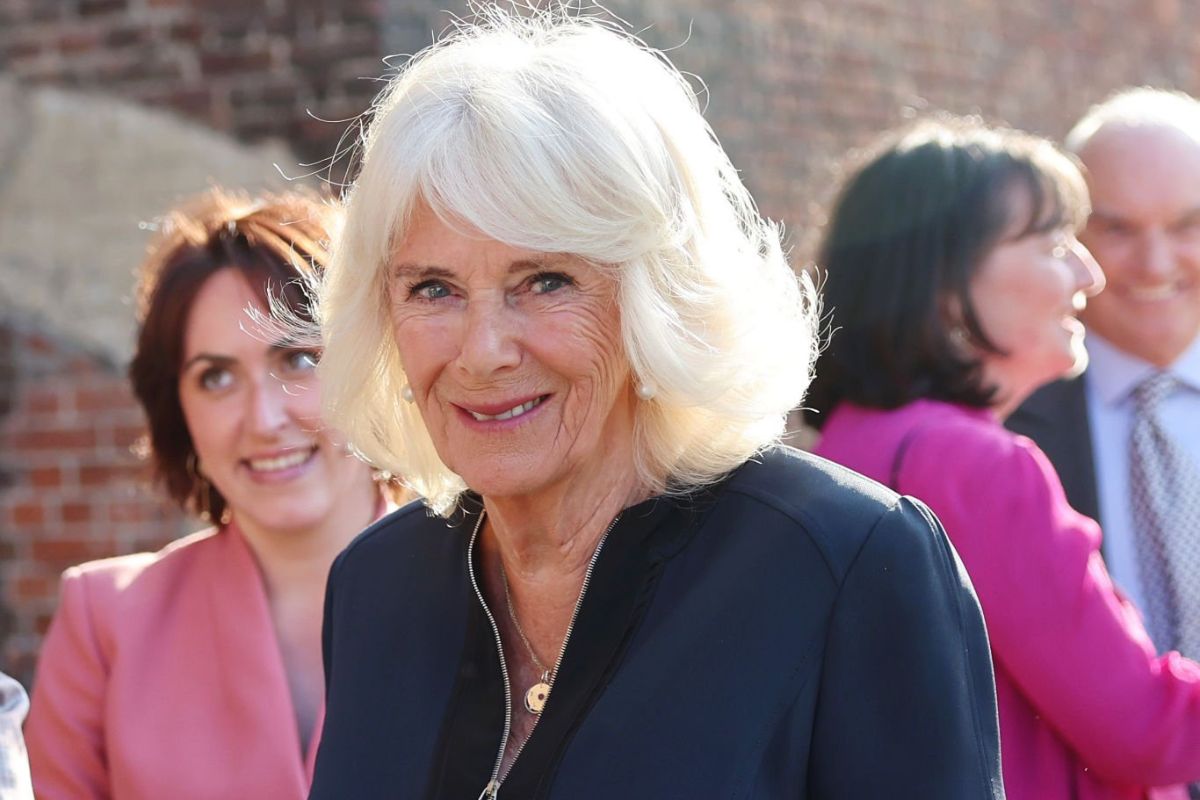 Queen Camilla met her biggest fan and admits she was horrified that her guest didn't bow at her