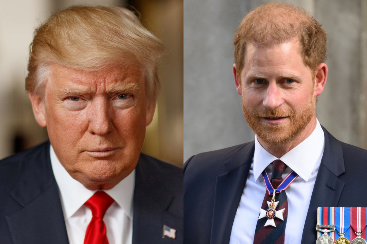 Prince Harry got huge award backlash but Donald Trump somehow saved him