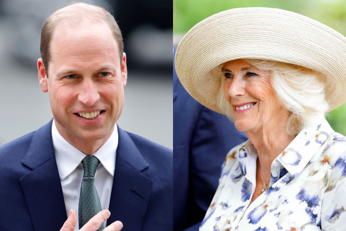 An expert revealed Prince William 'couldn’t stand' Queen Camilla and the way this changed