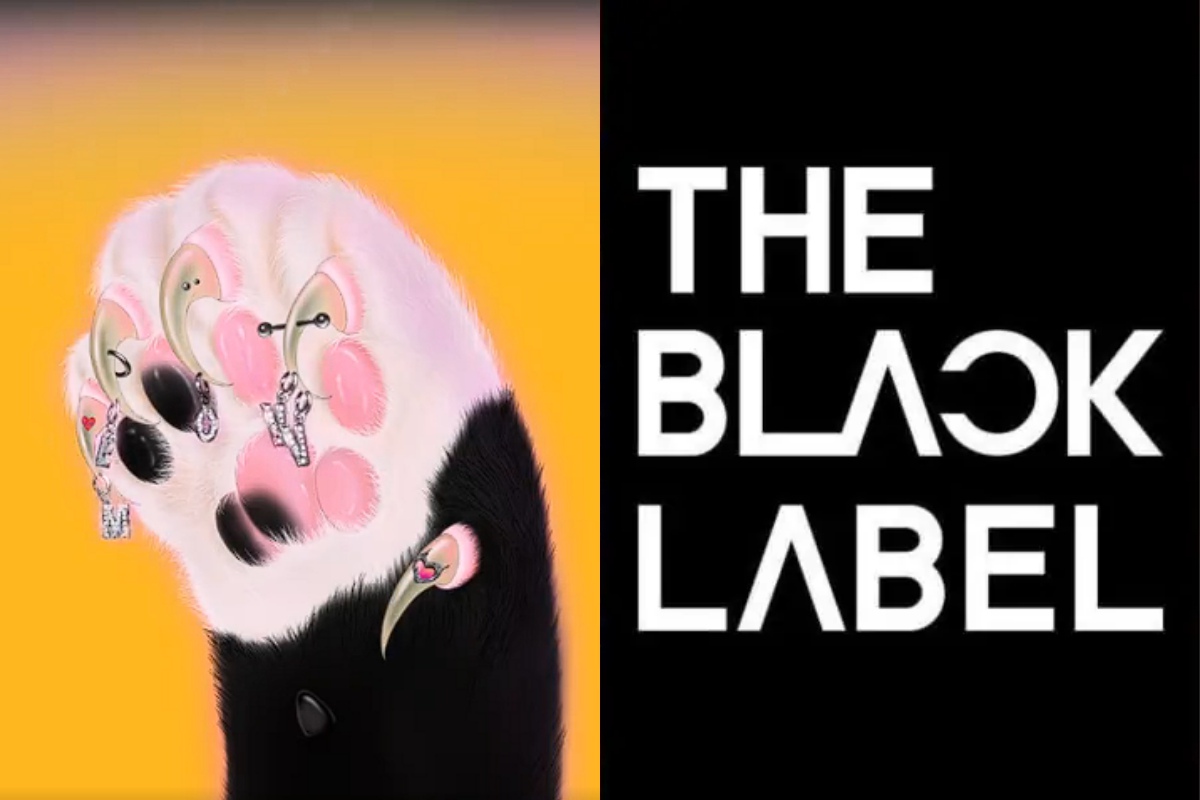 Get ready for MEOVV THEBLACKLABEL's new girl group set for a feline debut