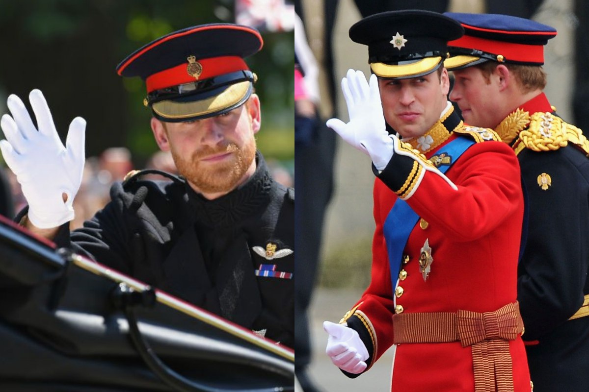 Prince Harry spills the tea on Prince William's facial hair jealousy