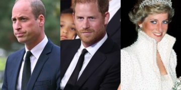 Prince William is reportedly 'spitting mad' at Prince Harry for repeatedly mentioning Princess Diana