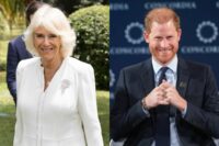 A new documentary is set to expose Queen Camilla Parker as Prince Harry's 'wicked stepmother'