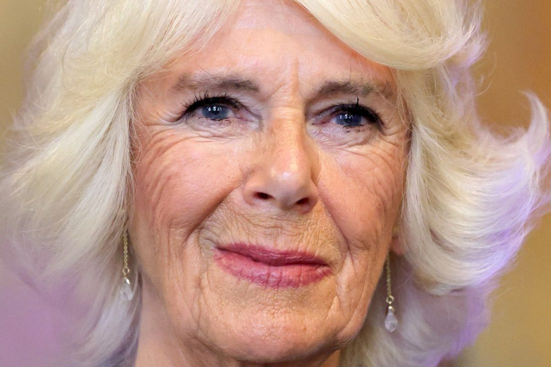 Buckingham Palace unveils Queen Camilla Parker’s current health condition