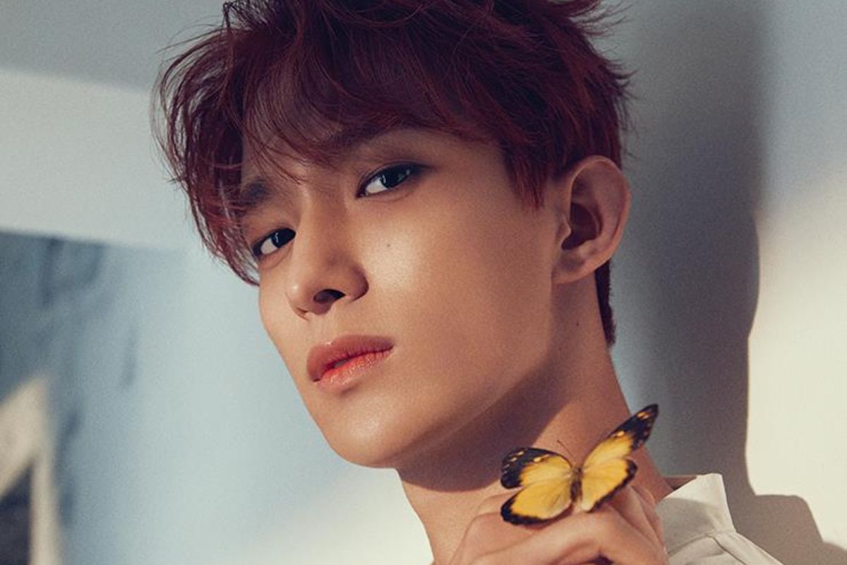 Fans de SEVENTEEN quedan flechados con las nuevas fotos de DK, pero también se distraen con otro detalle