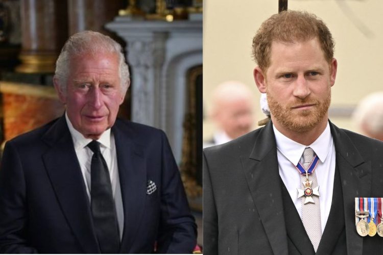 El rey Carlos III ignora por completo al príncipe Harry en su discurso navideño del 2023