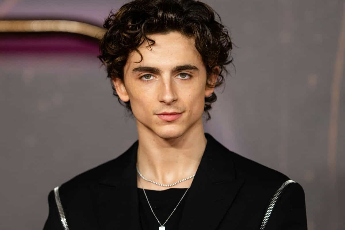 Timothée Chalamet fue expuesto en la fiesta navideña de Kim Kardashian