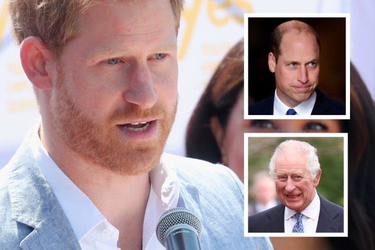 El príncipe Harry no podrá sustituir al rey Carlos III y al príncipe William en caso de incapacidad