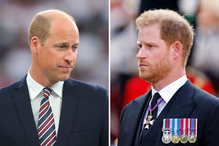 El príncipe William estaría decepcionado del príncipe Harry por atacar a Kate Middleton