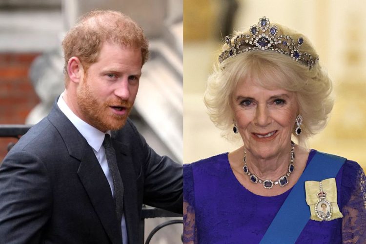 En un próximo documental se explorará un poco más sobre las acusaciones del príncipe Harry contra la reina Camilla
