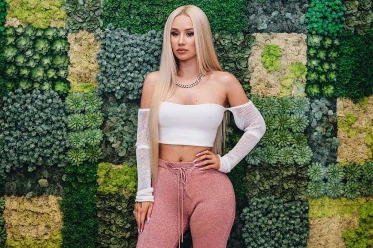 No terminaré mi álbum Iggy Azalea aparentemente se retira de la música