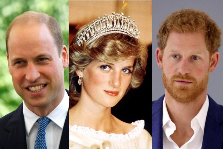 Conoce quién es el confidente de la princesa Diana que podría volver a unir al príncipe Harry y al príncipe William