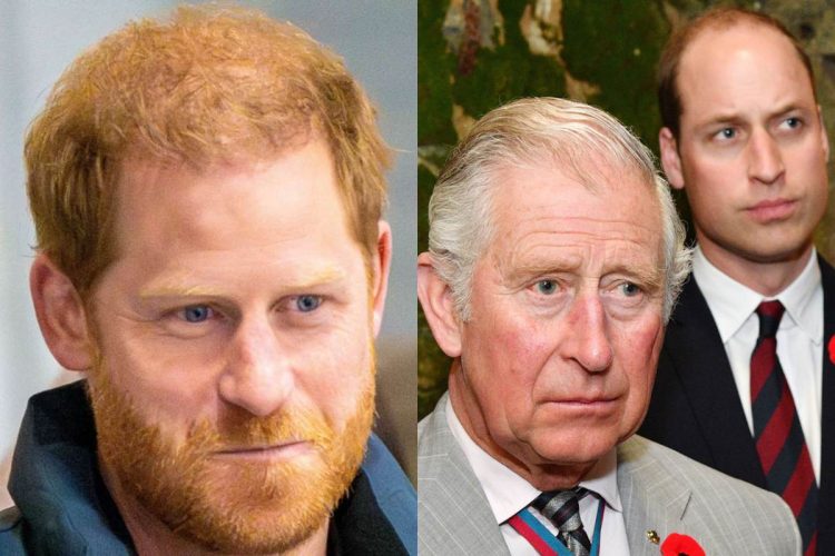 El príncipe Harry ataca de manera 'involuntaria' al príncipe William y al rey Carlos en un nuevo documental