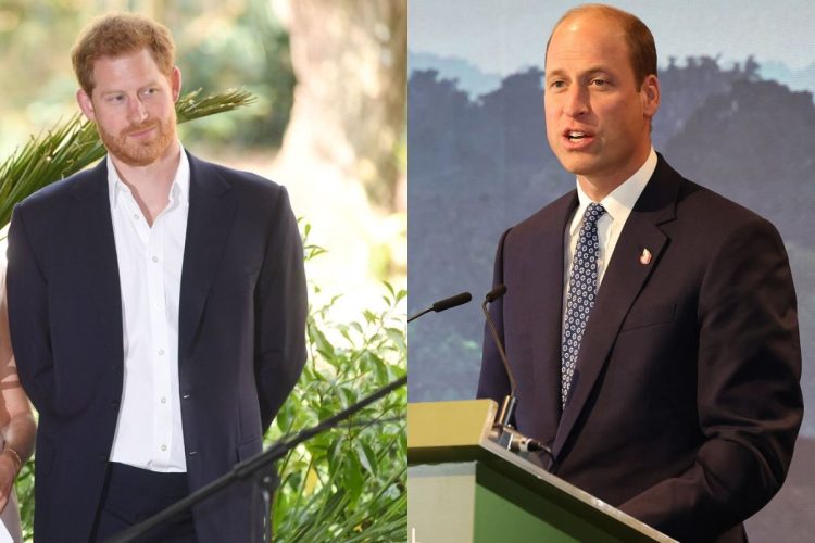 El príncipe Harry no tendría planes para encontrarse con el príncipe William mientras se encuentra en el Reino Unido