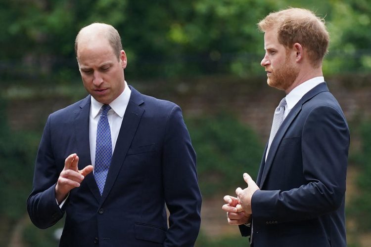 El príncipe William no quiso reunirse con el príncipe Harry tras su visita al Reino Unido