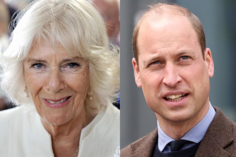 La reina Camilla Parker no es la 'abuela querida' y el límite que le impuso el príncipe William lo demuestra