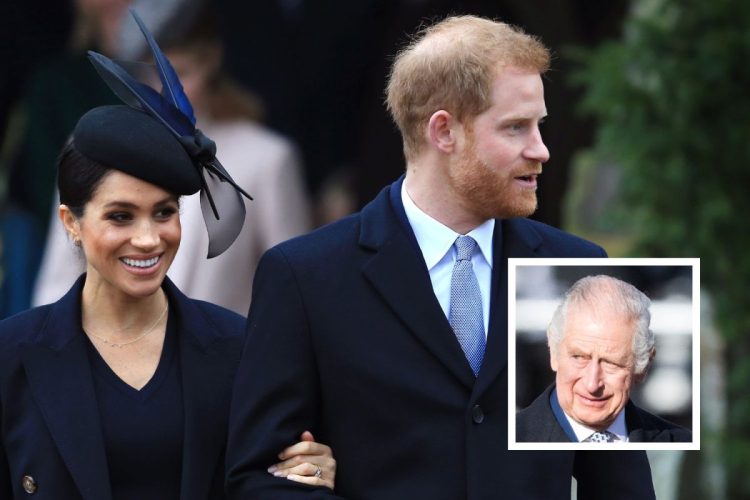 Meghan Markle no viajó con el príncipe Harry al Reino Unido por este importante motivo