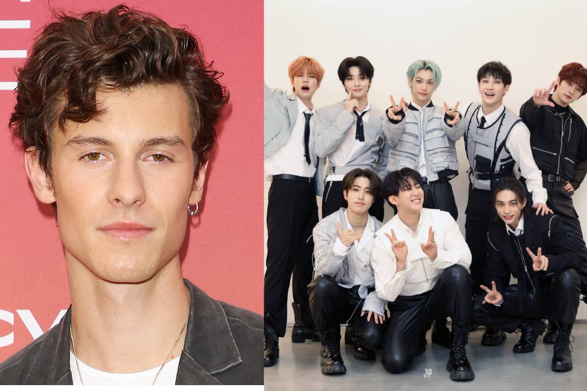 Shawn Mendes se convierte inesperada e hilarantemente en un nuevo miembro de Stray Kids