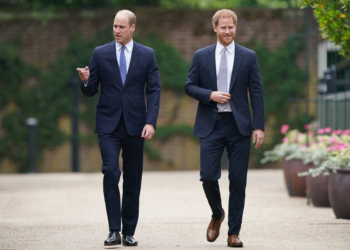 El príncipe Harry y el príncipe William solo podrían reconciliarse con la intervención de una importante persona, según experta