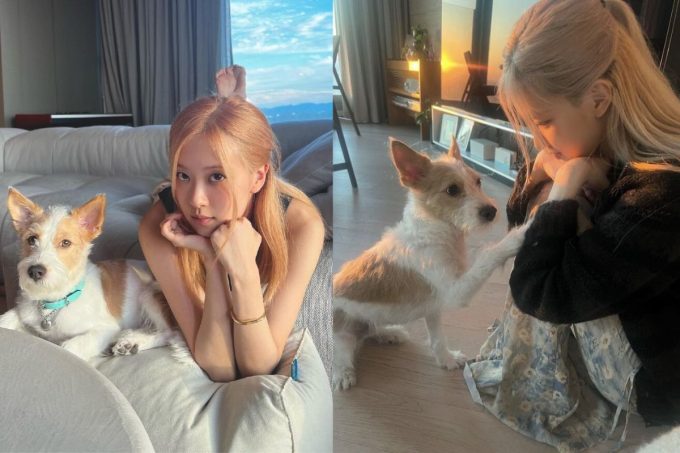 Rosé de BLACKPINK comparte la adorable razón detrás del nombre de su perro Hank