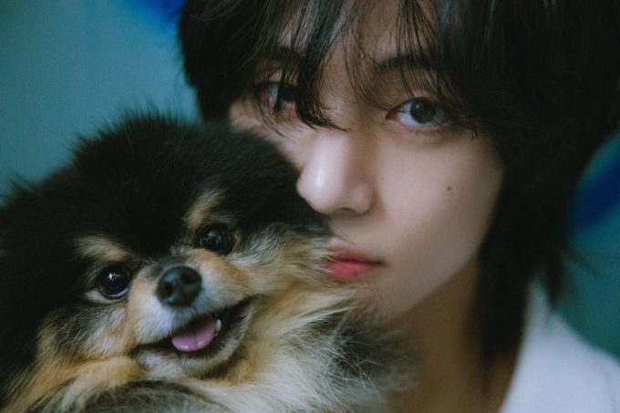 V de BTS anuncia el triste fallecimiento de su querido perro, Yeotan