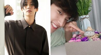 Todo lo que sabemos de la piedra mascota de Jeonghan de SEVENTEEN